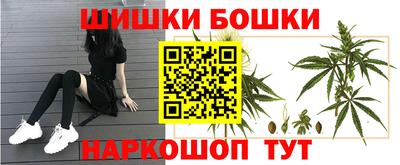 мдпв Пушкино